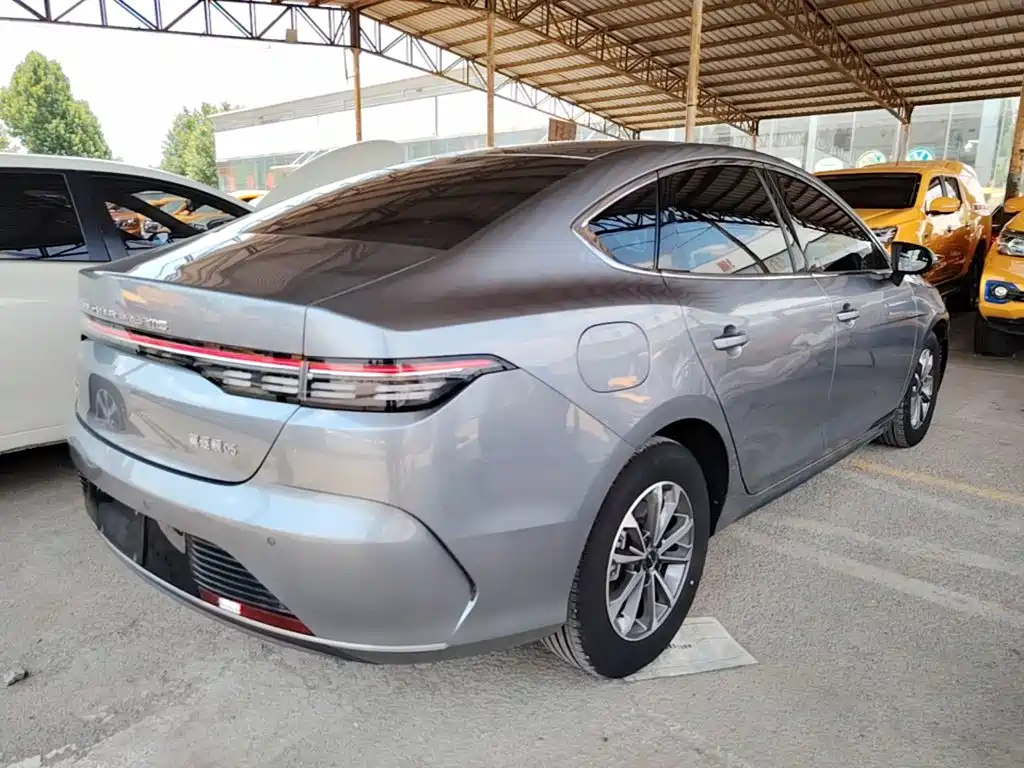 BYD Destroyer 05 2024 DM-i 55KM Luxury