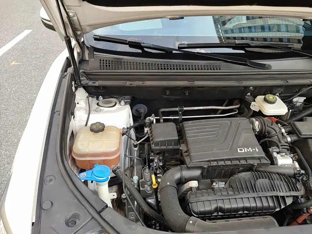 BYD Pro New Energy — миниатюра 21
