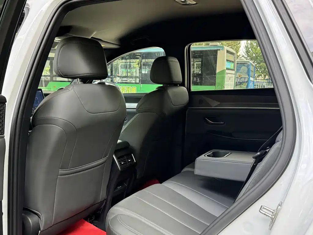 BYD Pro New Energy — миниатюра 7
