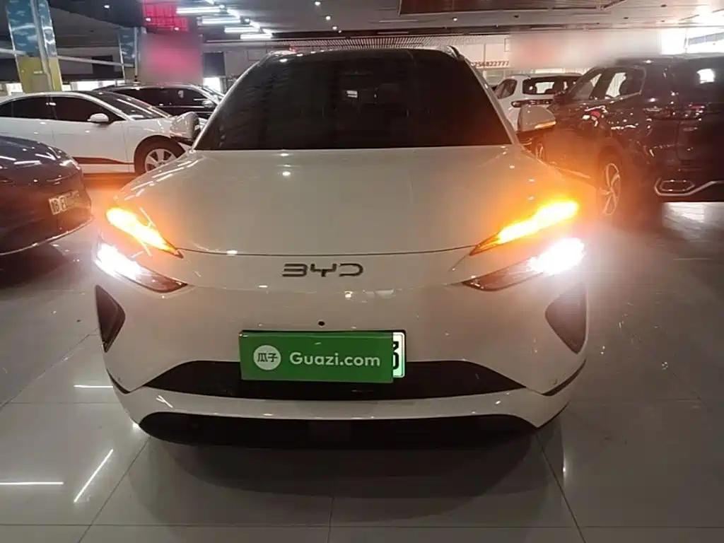 BYD Haisi 06 — миниатюра 3