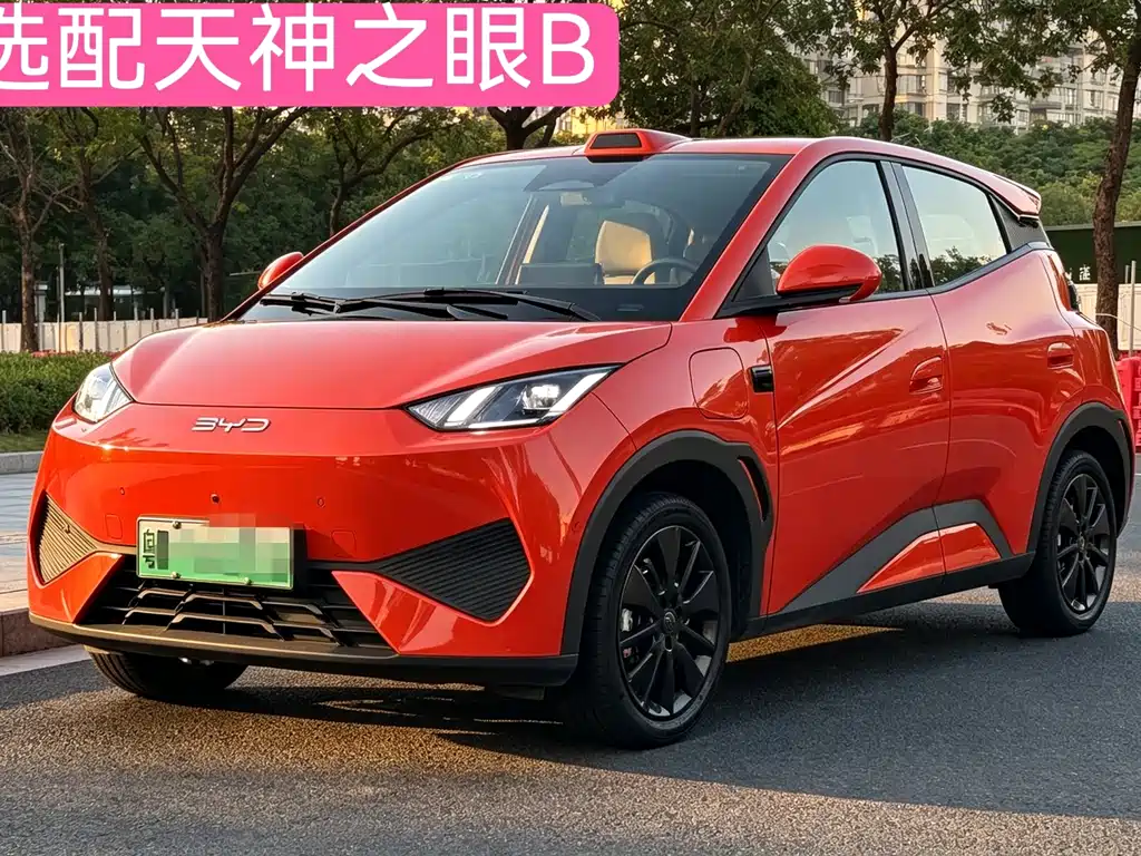BYD Seagull