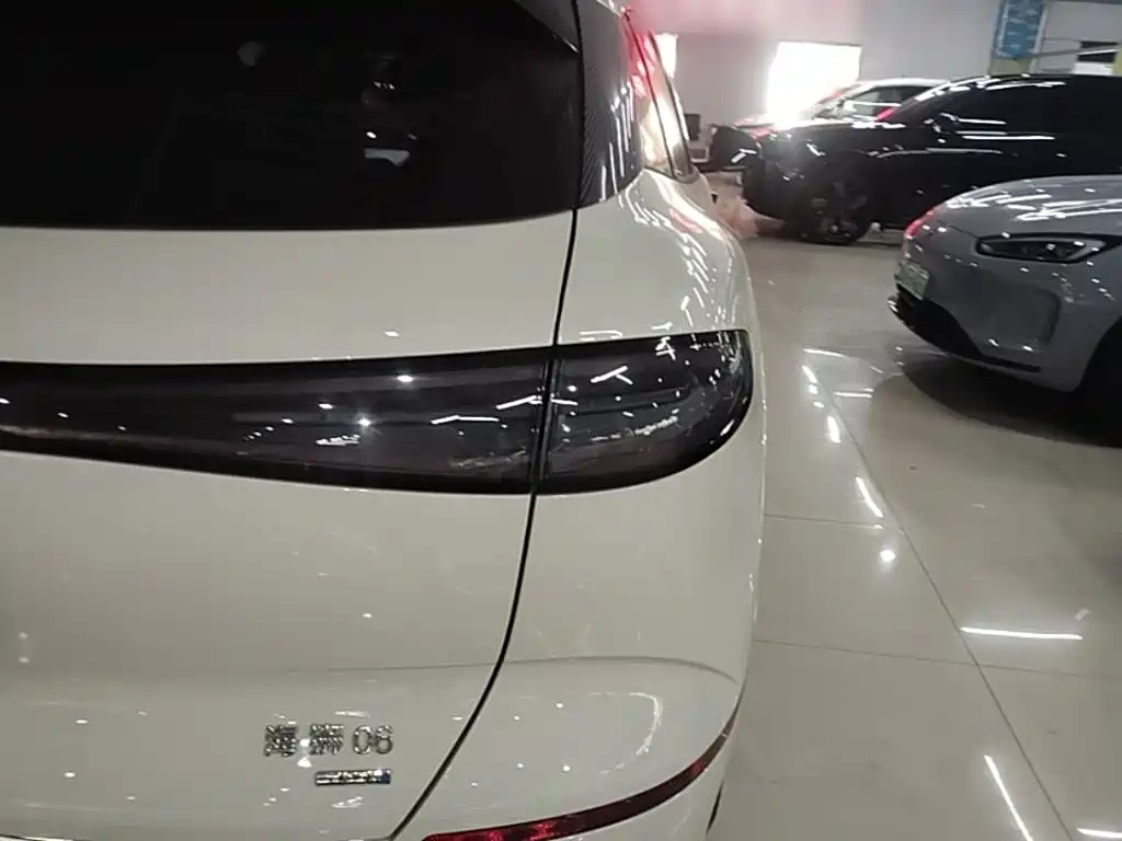 BYD Haisi 06 — миниатюра 8