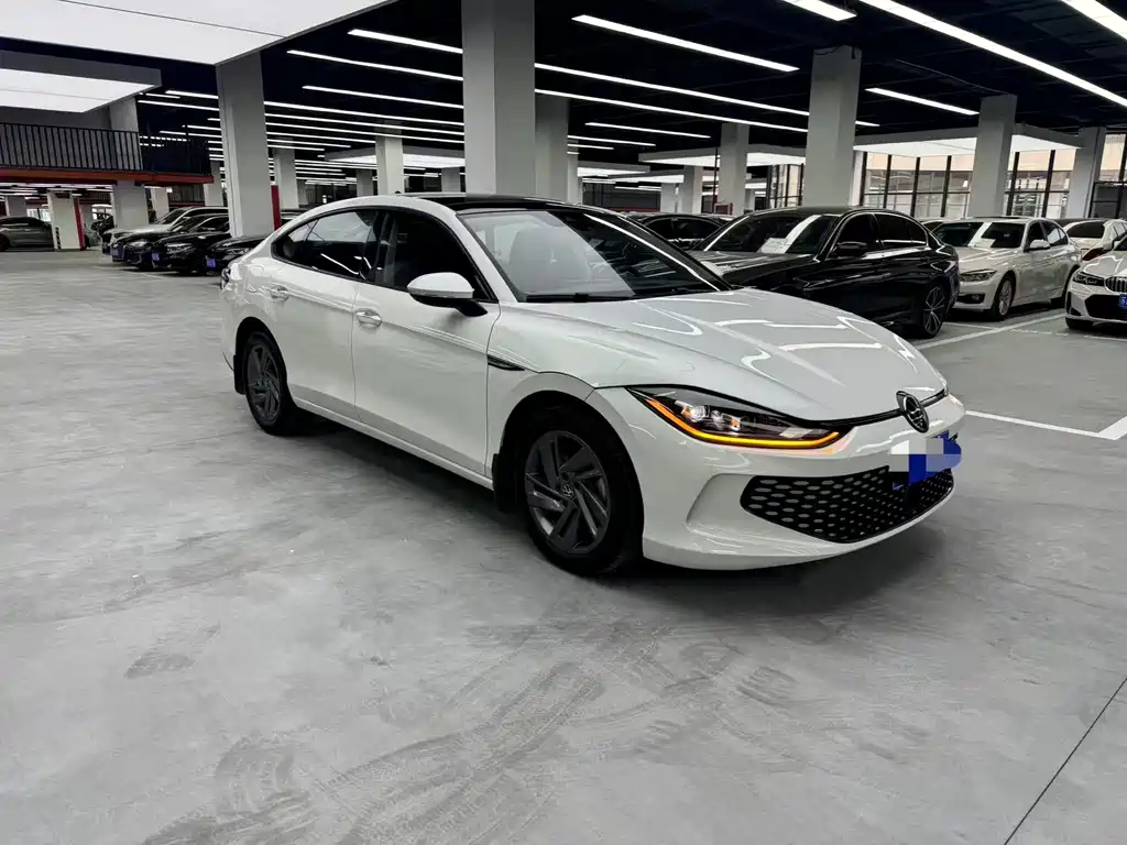 Volkswagen Lamando — миниатюра 3