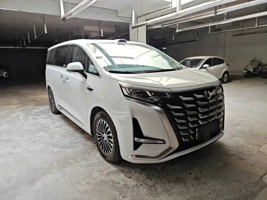 Denza Denza D9 — миниатюра 4