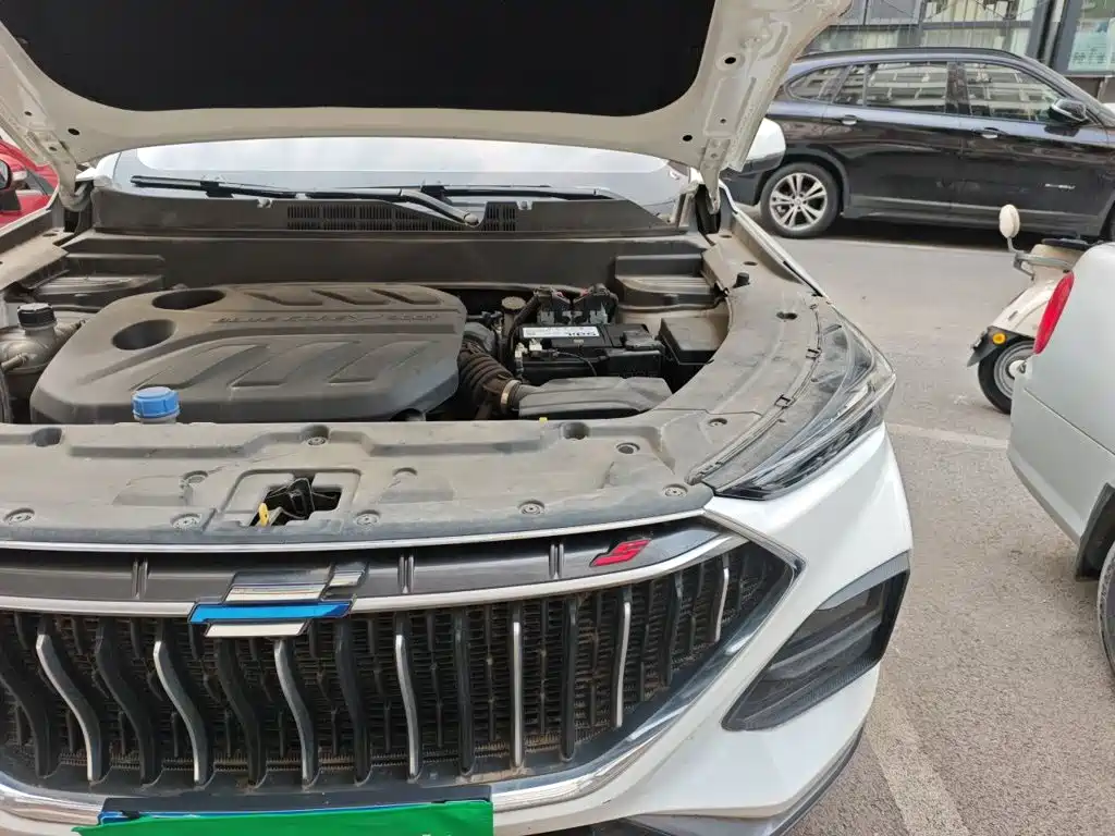 Oshan Oushang X5 — миниатюра 21