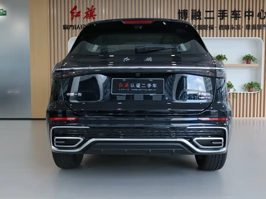 Hongqi Hongqi HS5 — миниатюра 5