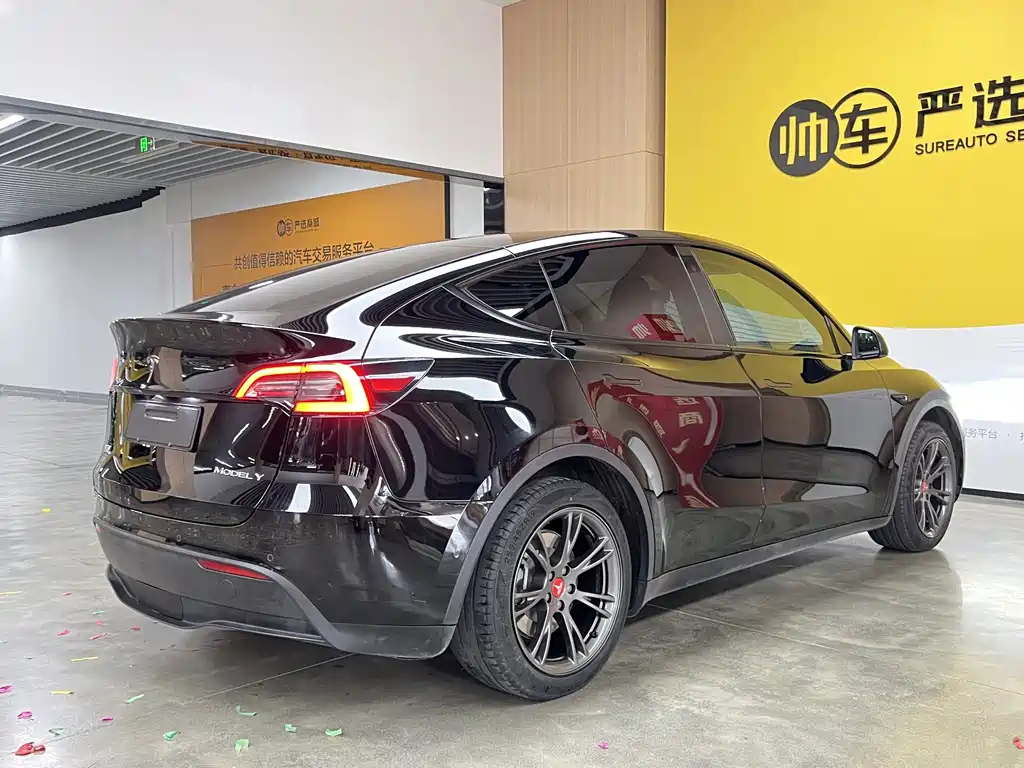 Tesla Model Y — миниатюра 4