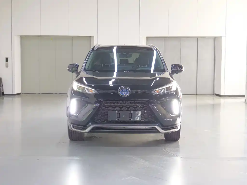 Toyota Wildlander New Energy — миниатюра 2