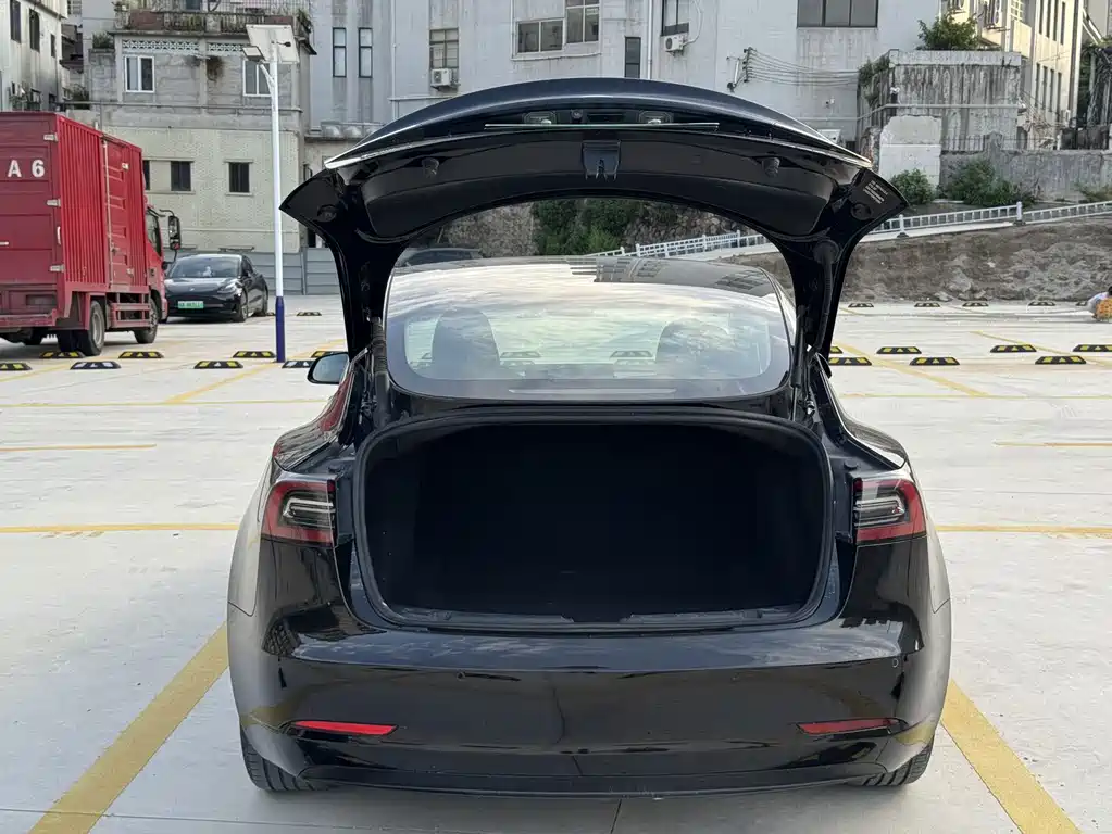Tesla Model 3 — миниатюра 6