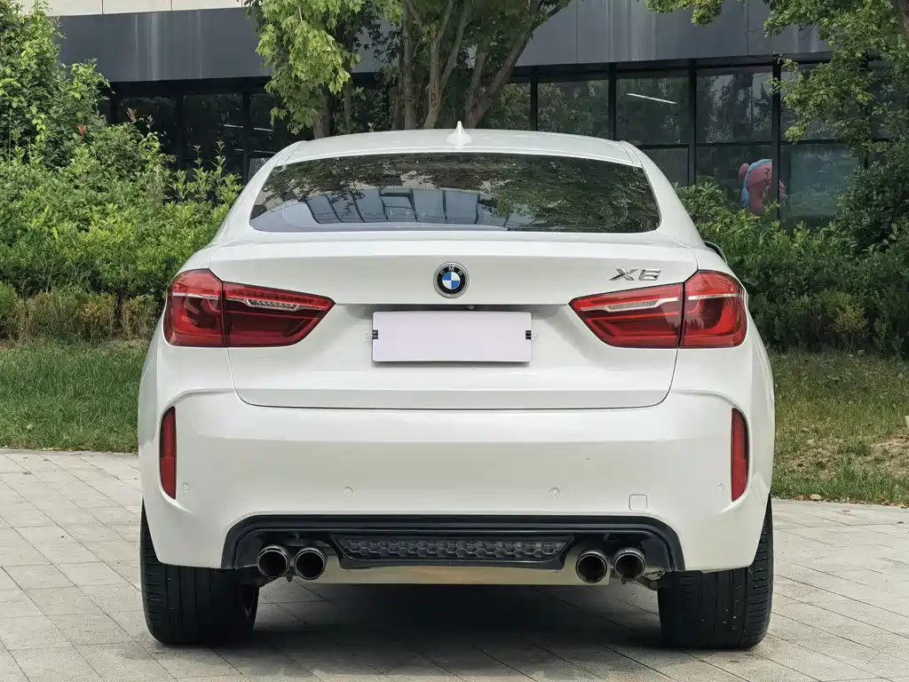 BMW X6 — миниатюра 9