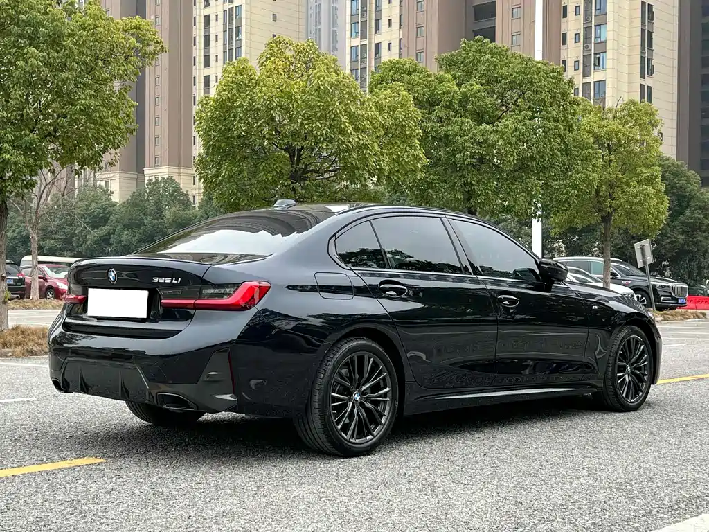 BMW 3 Series — миниатюра 15