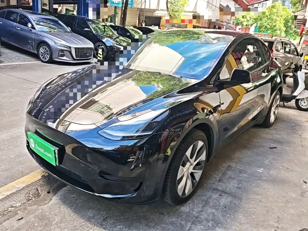 Tesla Model Y — миниатюра 2