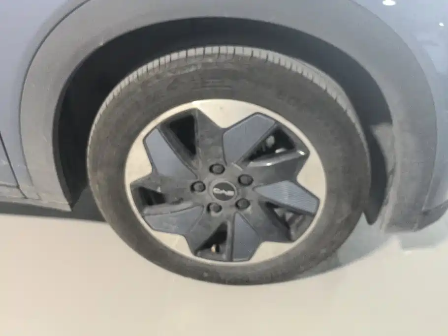 BYD Dolphin — миниатюра 6
