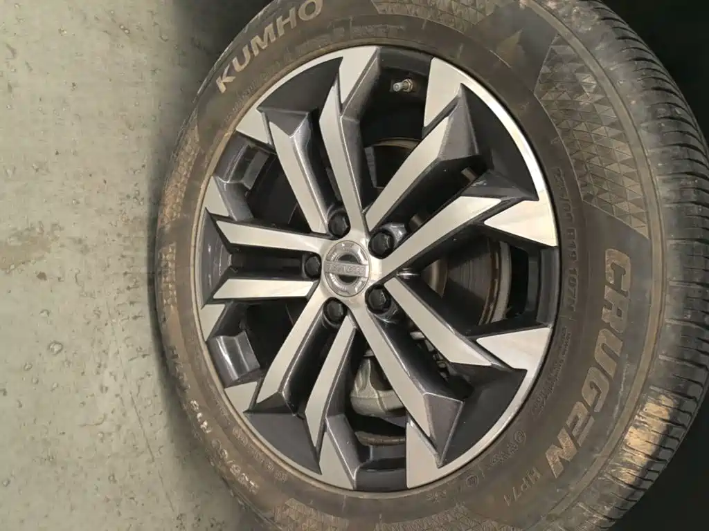 Haval Big Dog — миниатюра 23