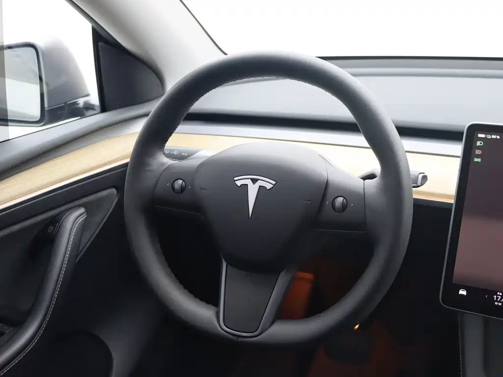 Tesla Model Y — миниатюра 15