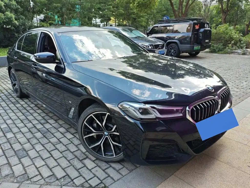 BMW 5 Series — миниатюра 2