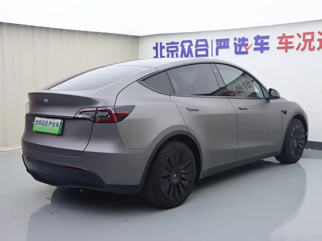 Tesla Model Y — миниатюра 22