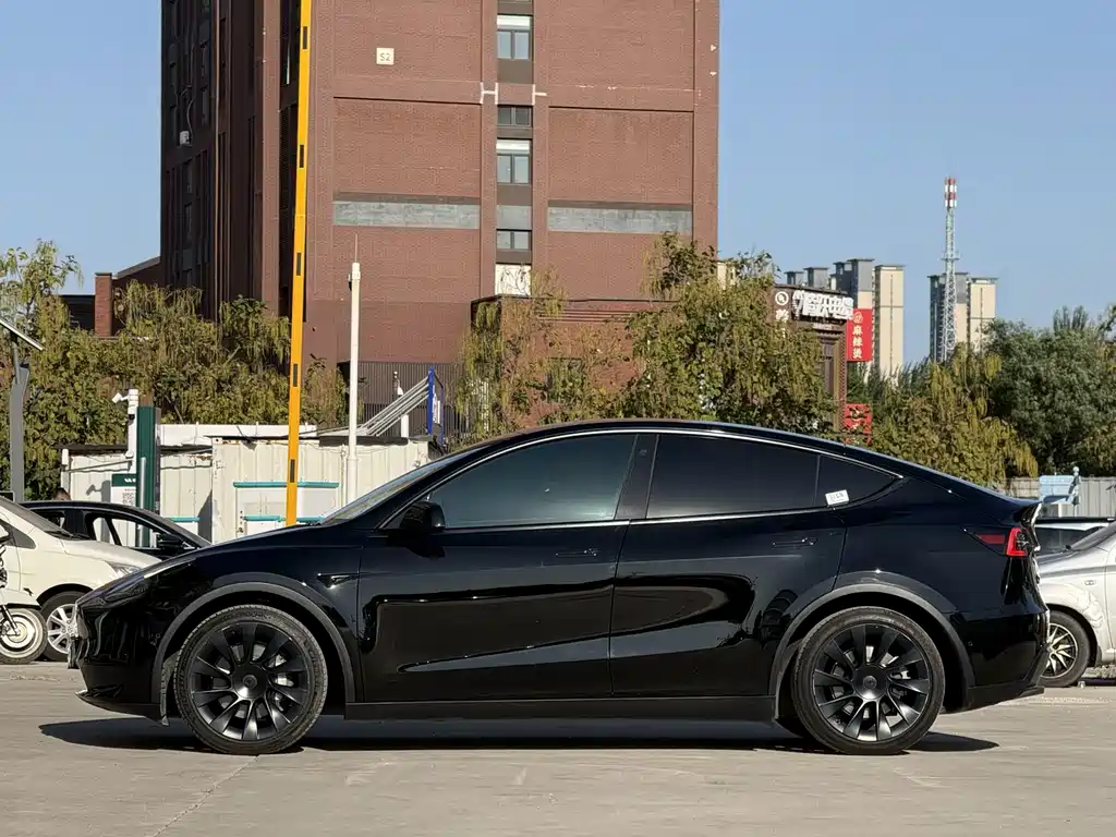 Tesla Model Y — миниатюра 7