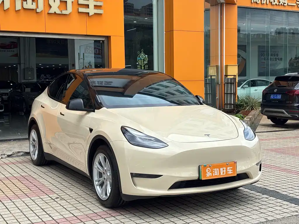Tesla Model Y — миниатюра 3