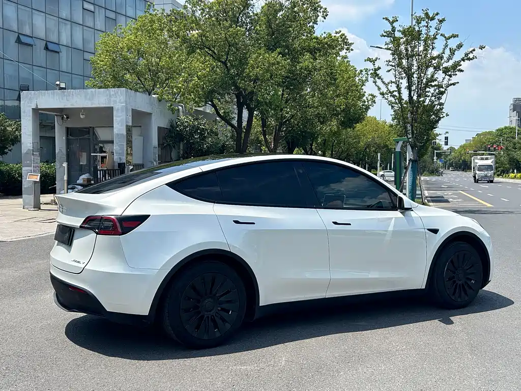 Tesla Model Y — миниатюра 8