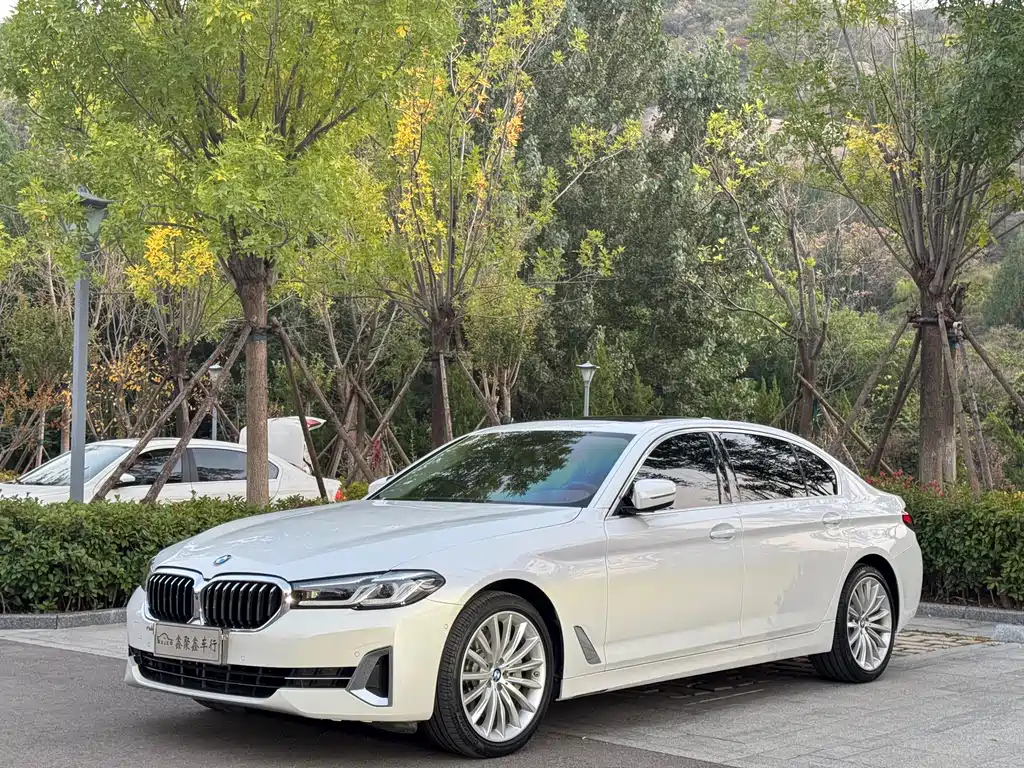 BMW 5 Series 2022