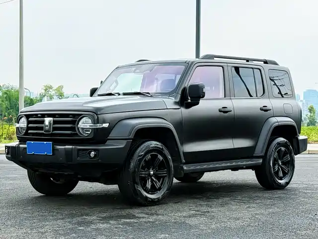2021 TANK 300