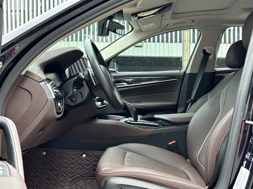 BMW 5 Series 5 2021 530Li Lead Luxury