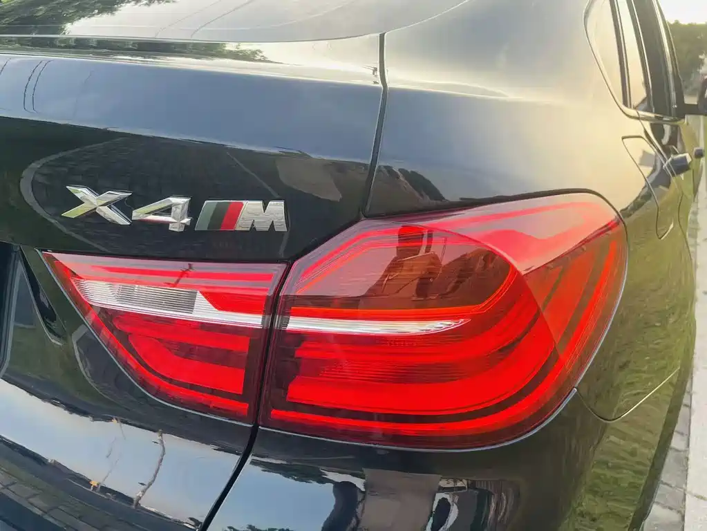 BMW X4 — миниатюра 19