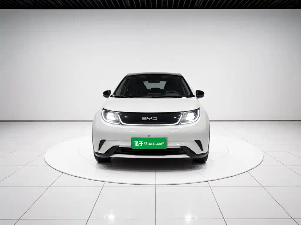 BYD Dolphin — миниатюра 24