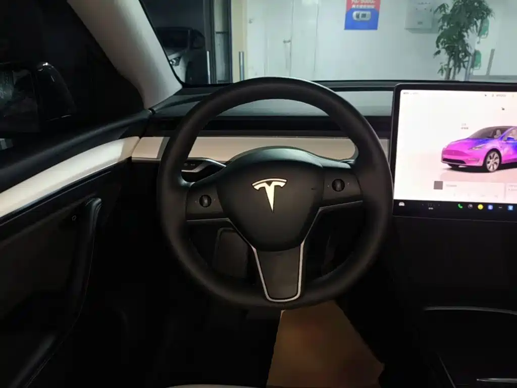 Tesla Model Y — миниатюра 11