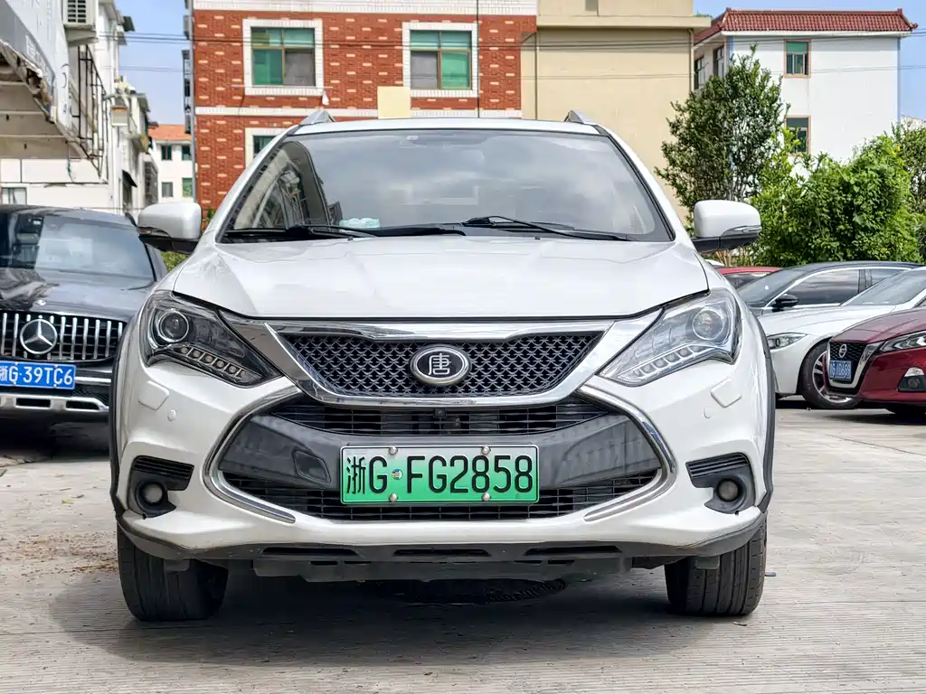 BYD Tang New Energy — миниатюра 2