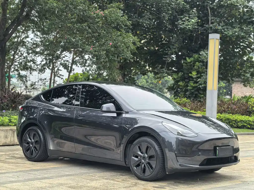 Tesla Model Y — миниатюра 3