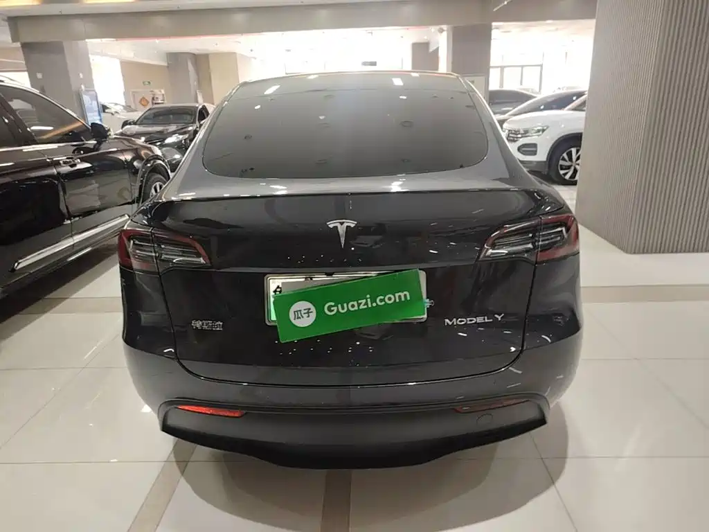 Tesla Model Y — миниатюра 6