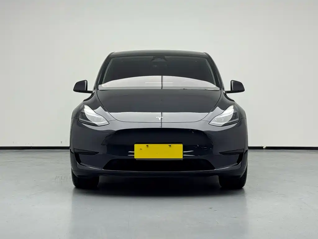 Tesla Model Y — миниатюра 2