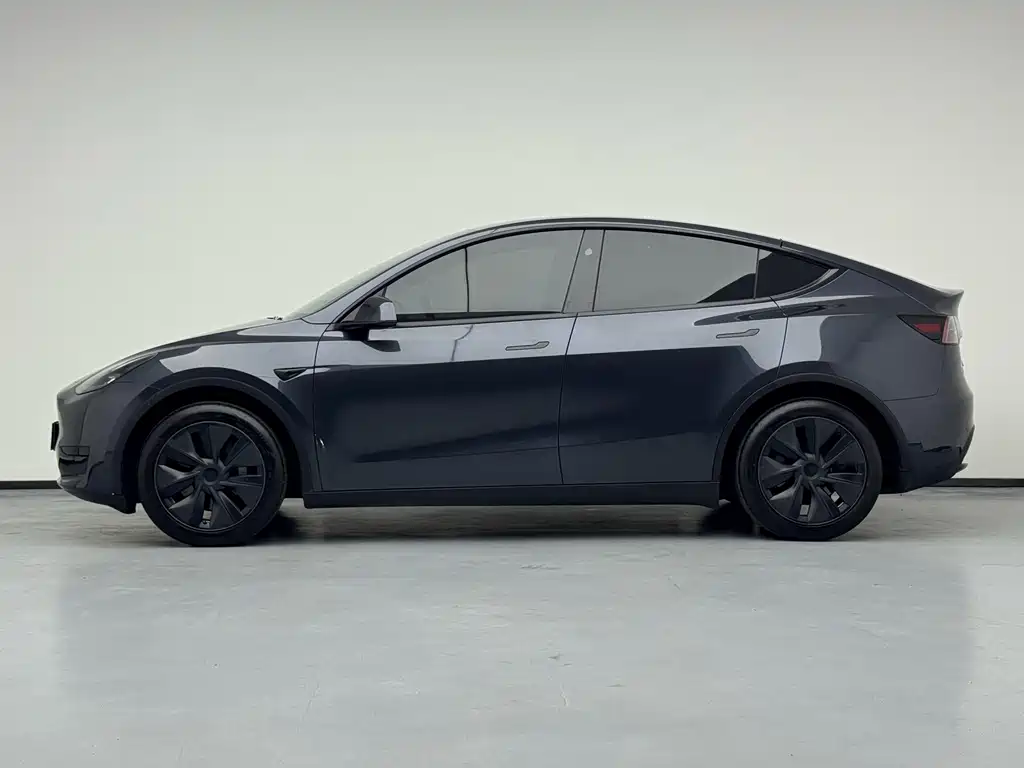 Tesla Model Y — миниатюра 13