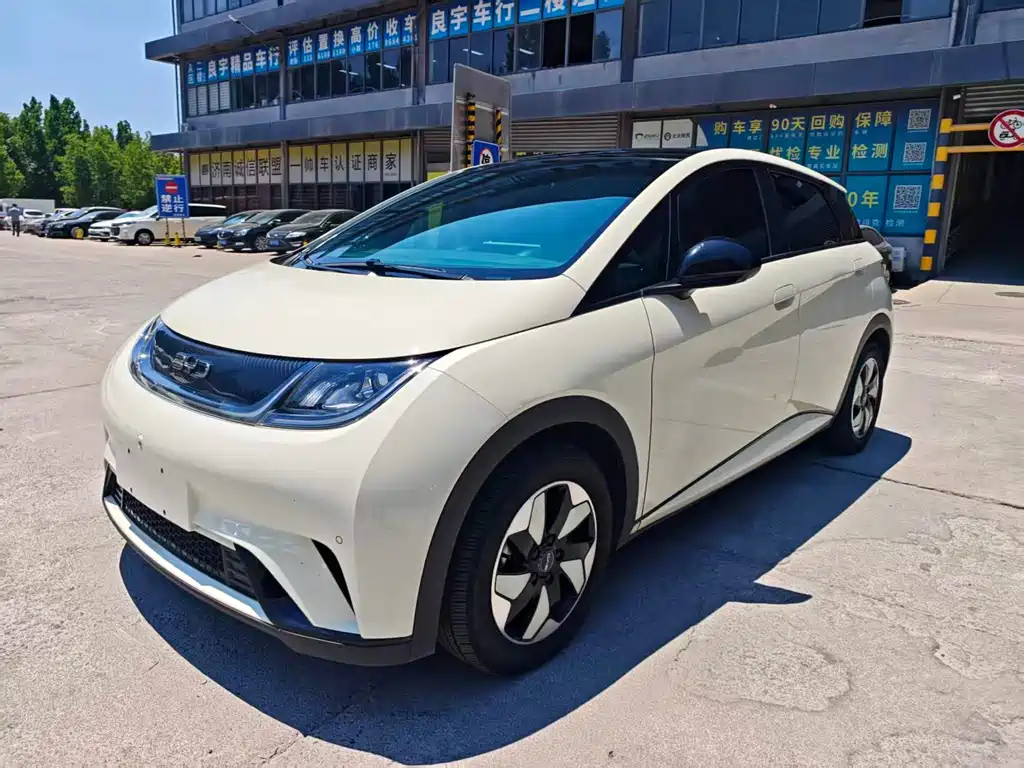 2024 BYD Dolphin - zdjęcie 1 z 11