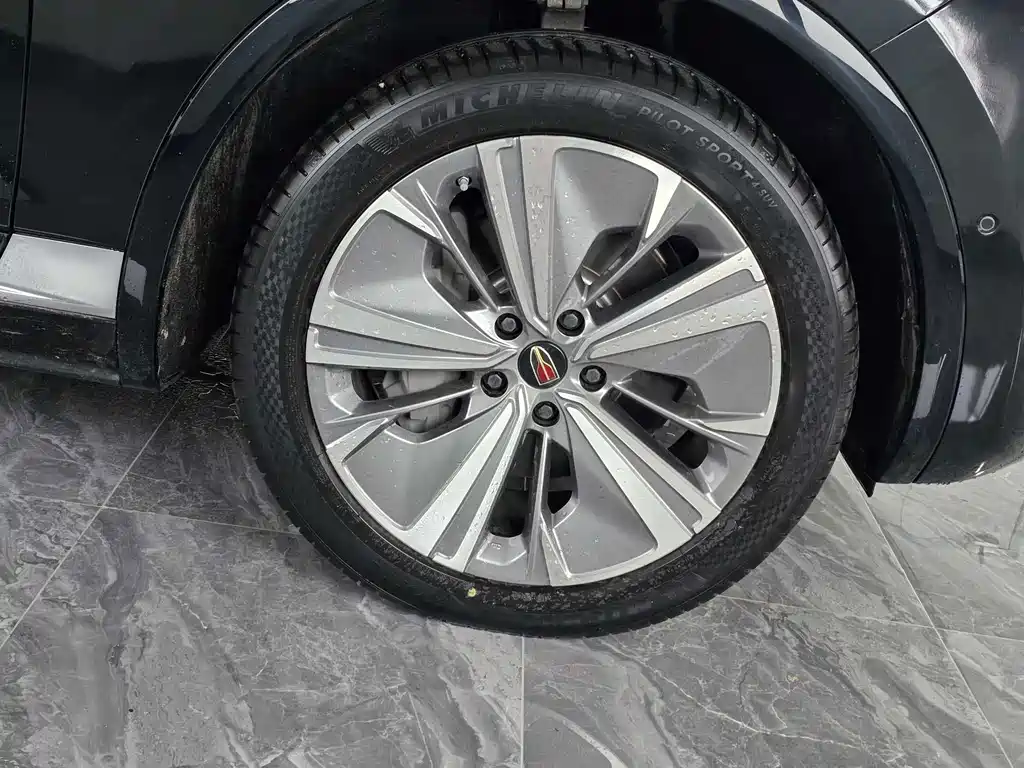 Hongqi Hongqi E-HS9 — миниатюра 4