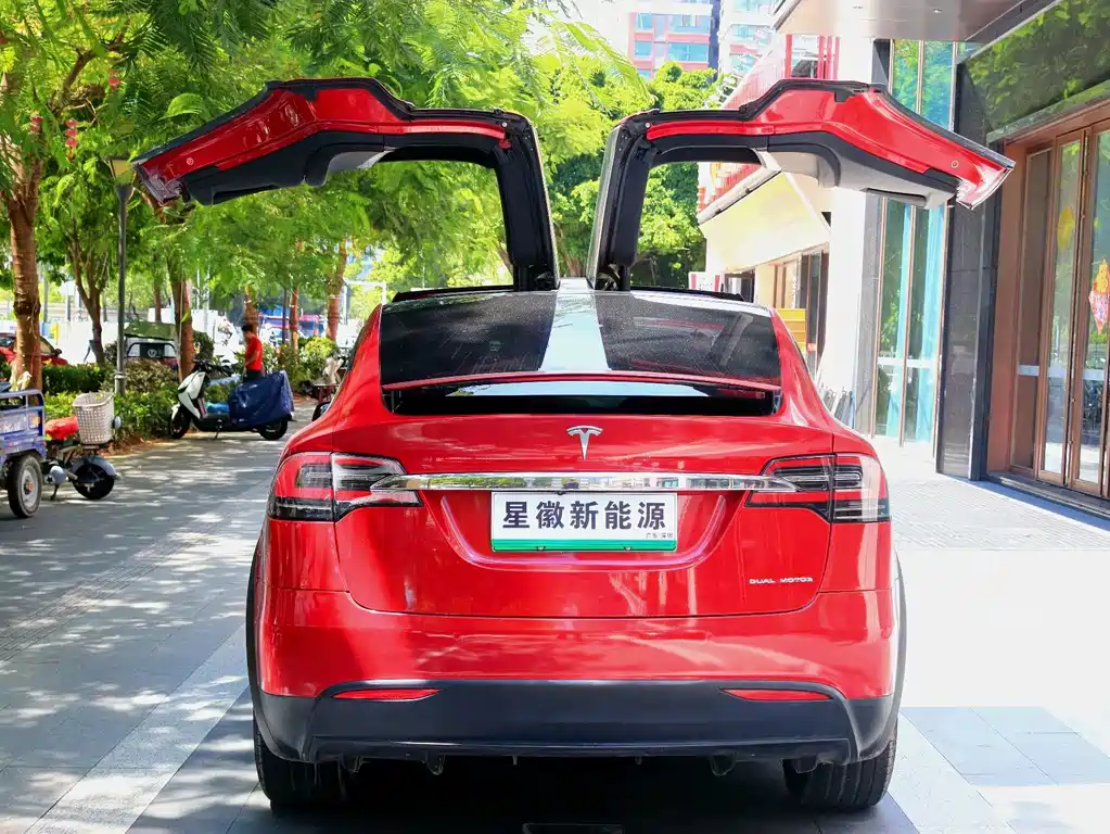 Tesla Model X — миниатюра 19