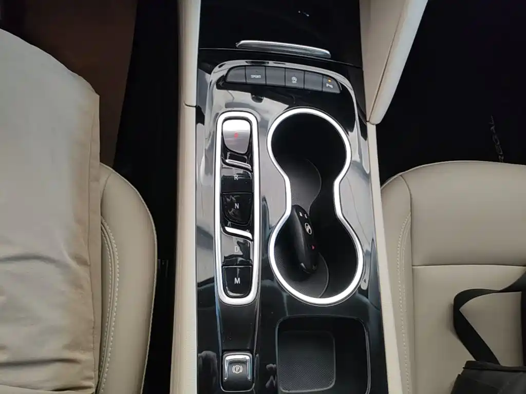 Buick Regal — миниатюра 14