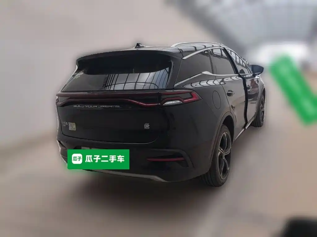 BYD Tang New Energy — миниатюра 6