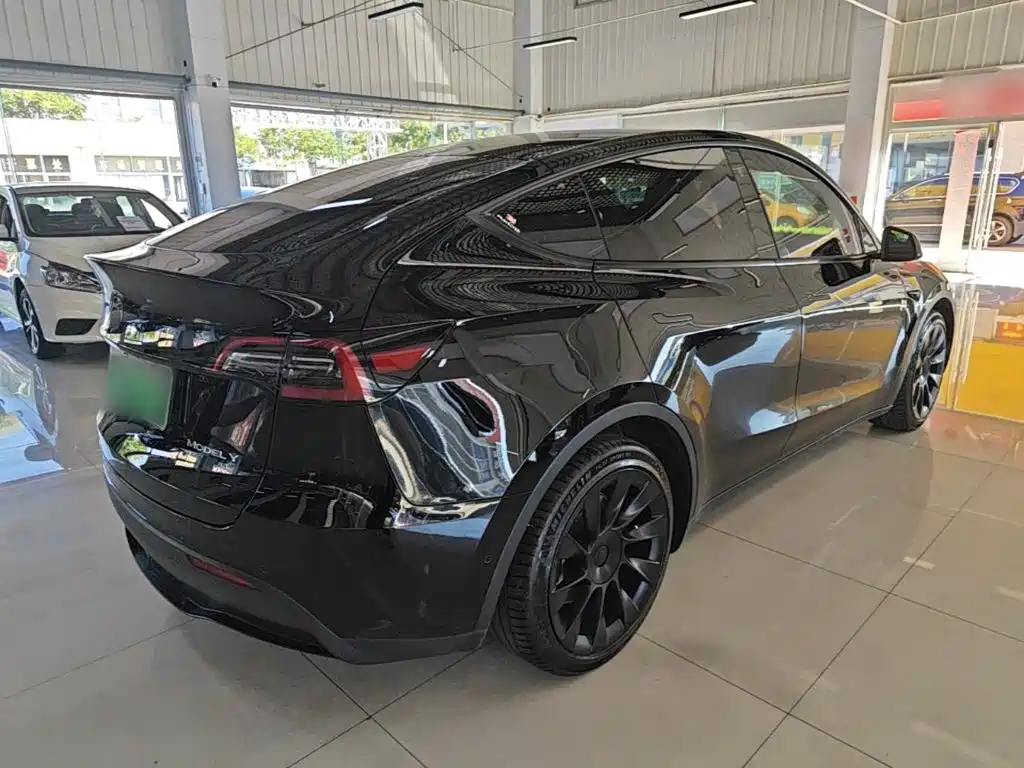 Tesla Model Y — миниатюра 7
