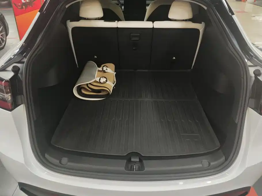 Tesla Model Y — миниатюра 4
