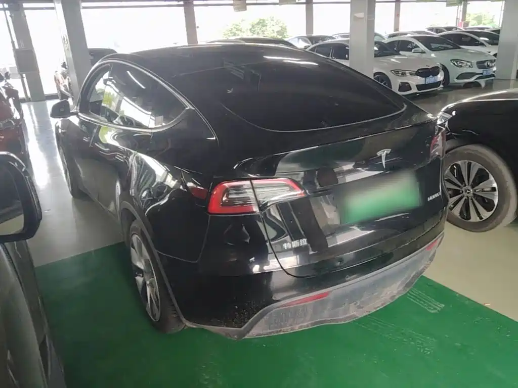 Tesla Model Y — миниатюра 5