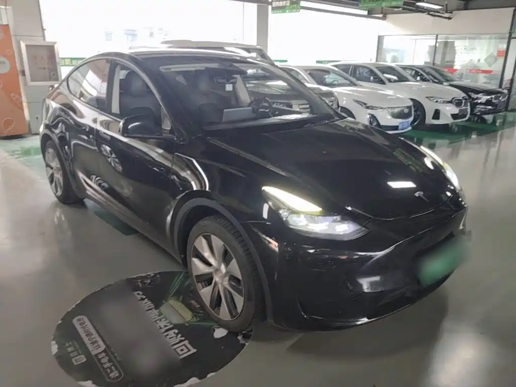 Tesla Model Y — миниатюра 4