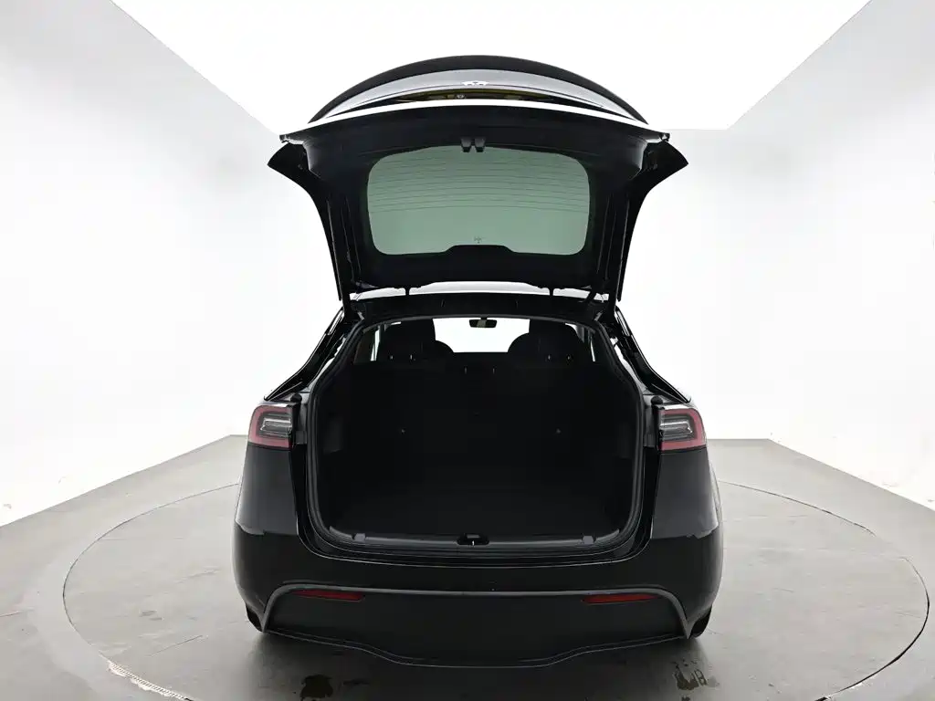 Tesla Model Y — миниатюра 8