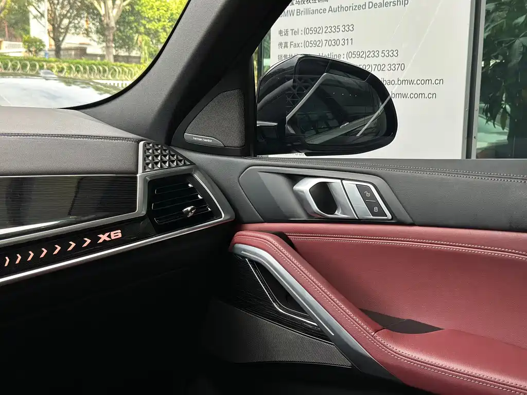 BMW X6 — миниатюра 8
