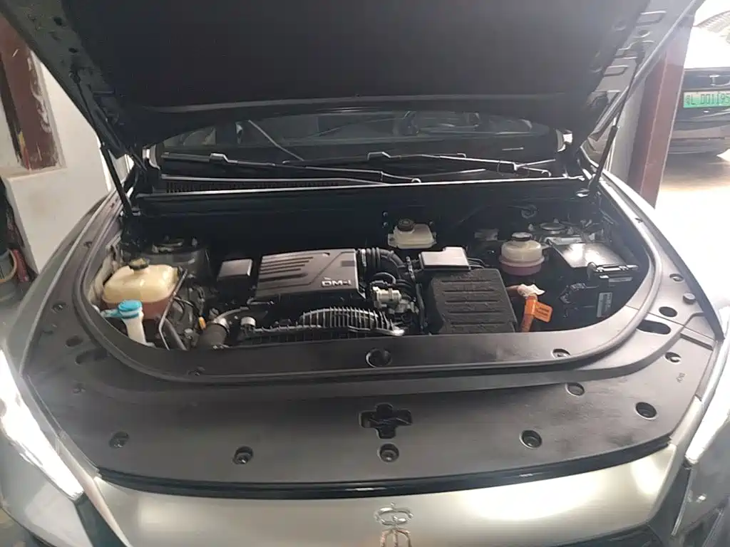 BYD Pro New Energy — миниатюра 20