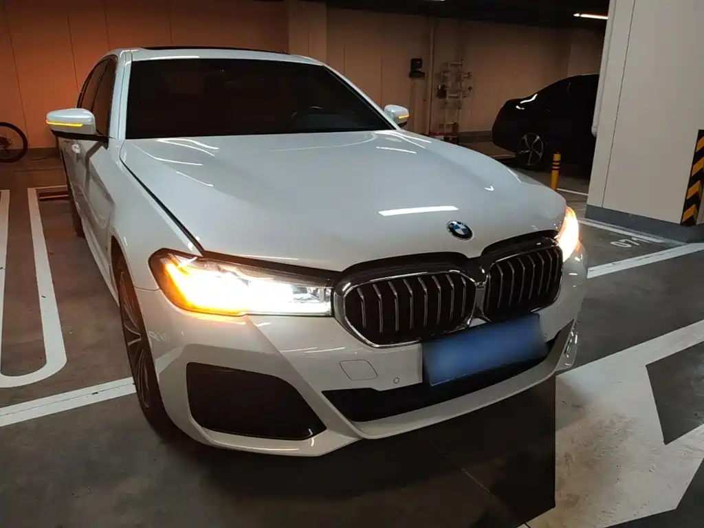 BMW 5 Series — миниатюра 4