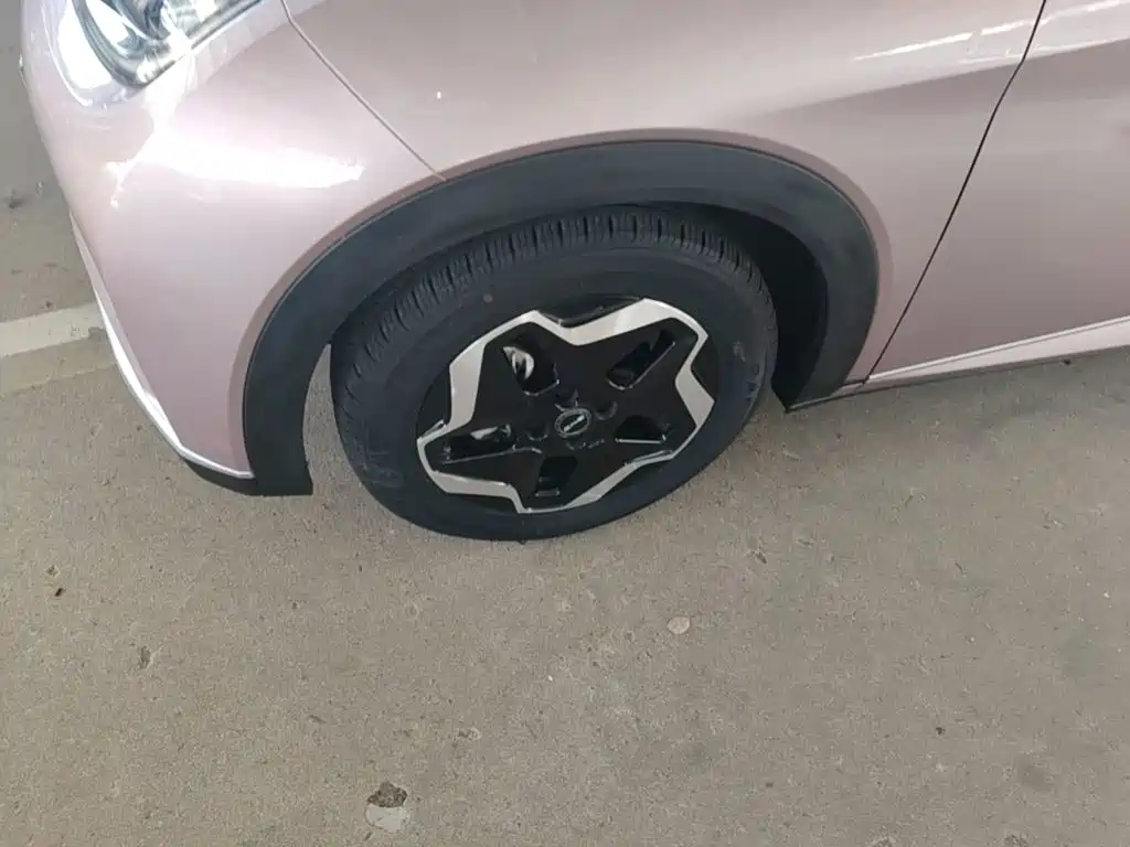 BYD Dolphin — миниатюра 23