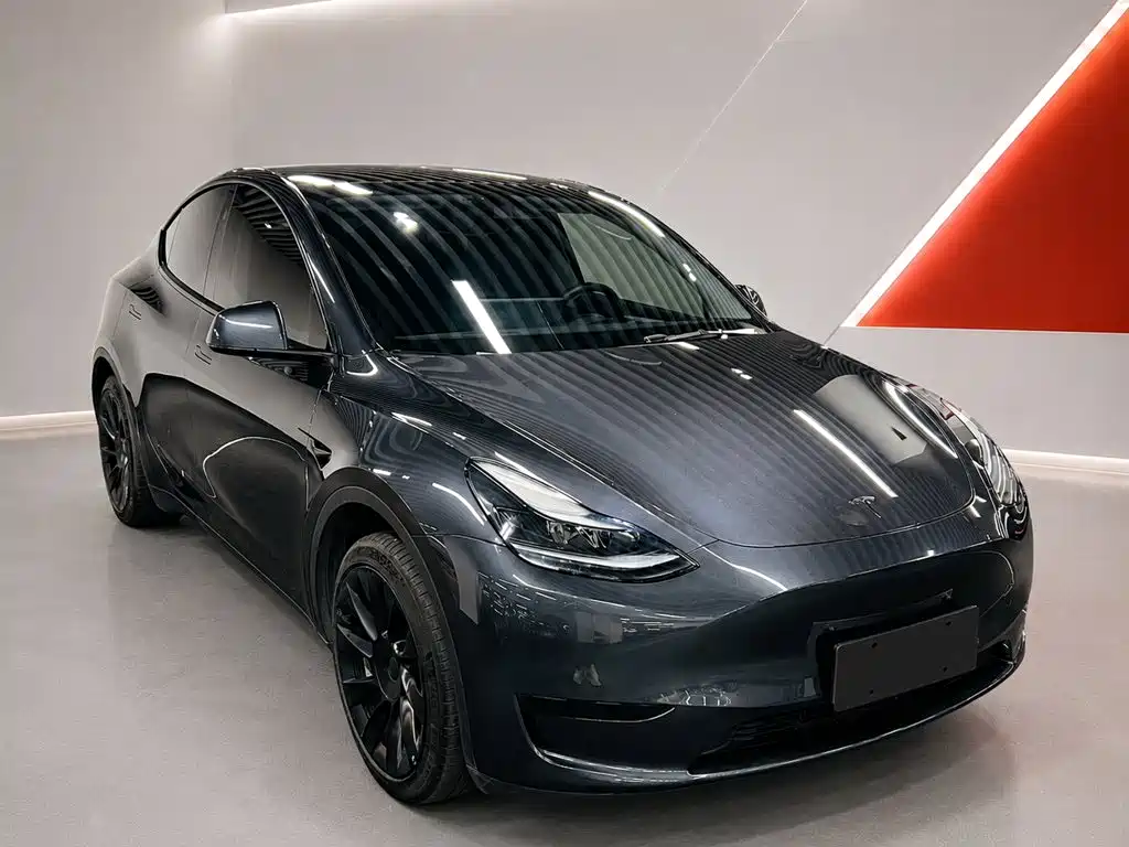 Tesla Model Y — миниатюра 3
